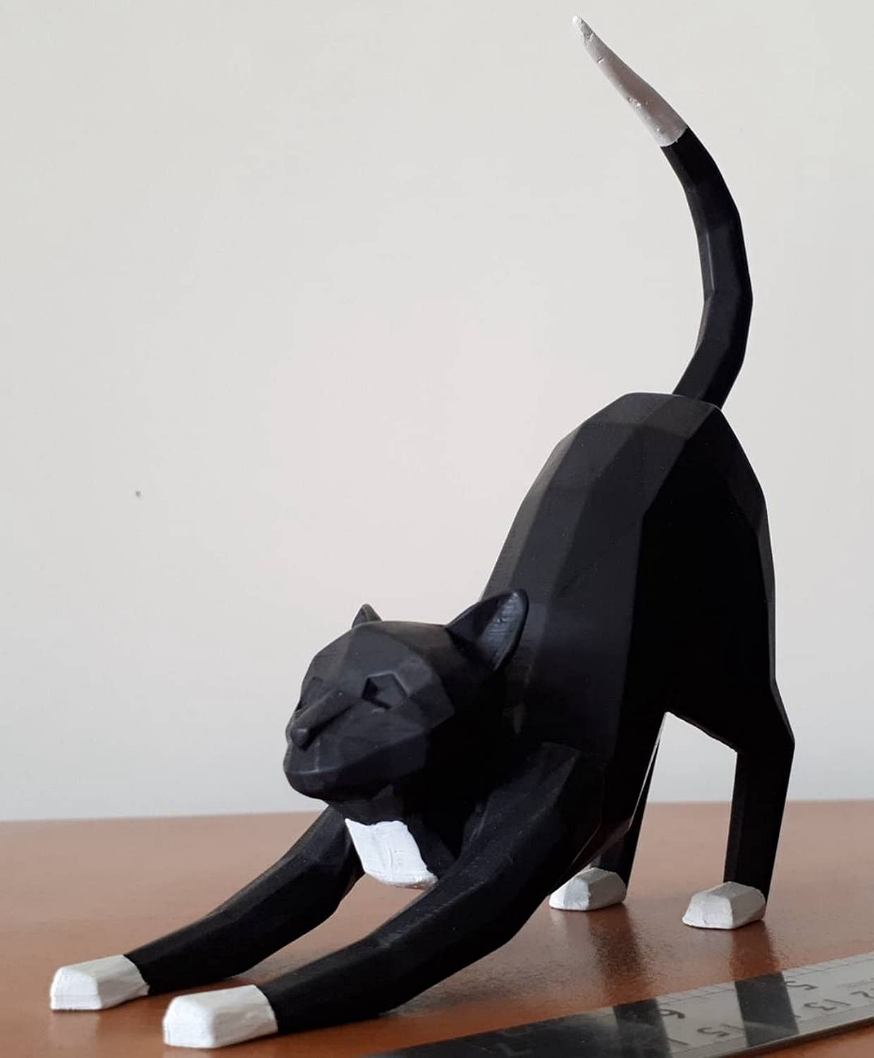 eSUN ABS+ Plus Wholesale Case